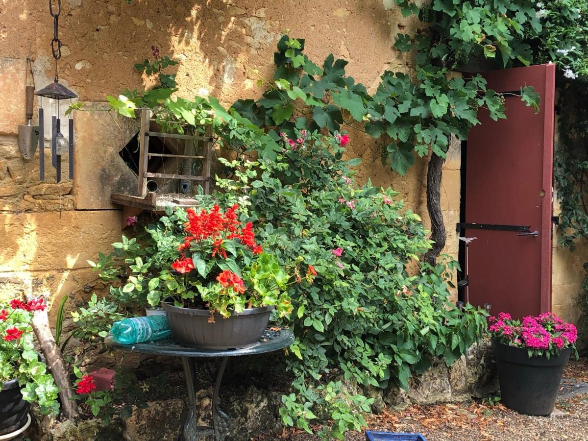 Chambres D'Hotes Les Coustilles Saint-Alvere Luaran gambar