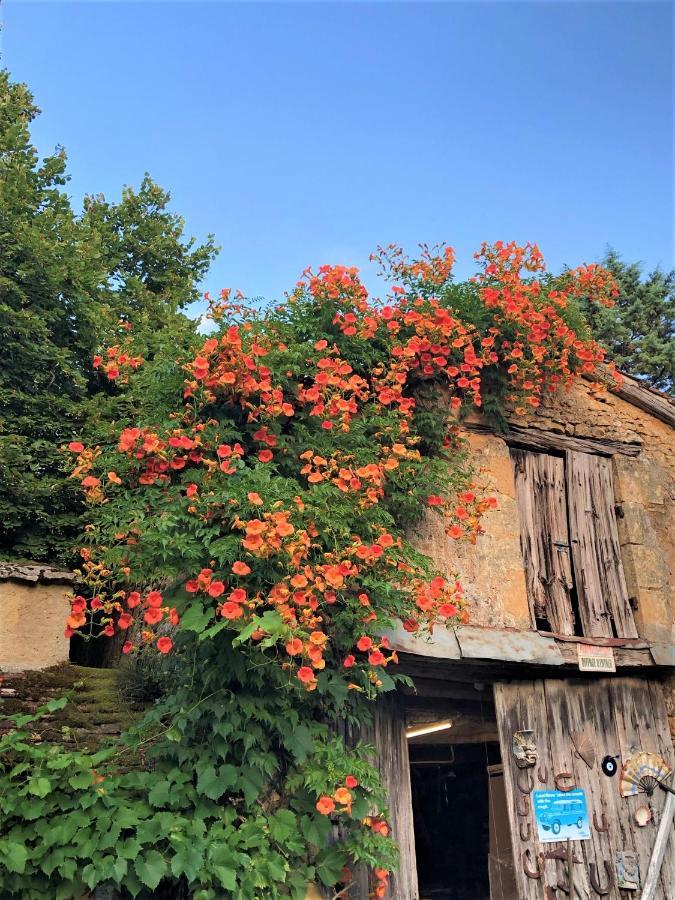 Chambres D'Hotes Les Coustilles Saint-Alvere Luaran gambar